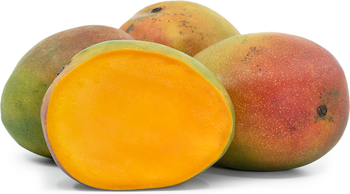 Fresh Mangoes (Kent Variety) - FGE Fruit Global Export - Vietnam