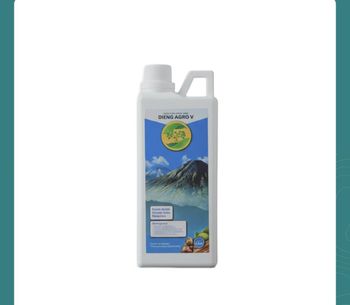 Liquid fertilizer - PT Dieng agro van java - Indonesia