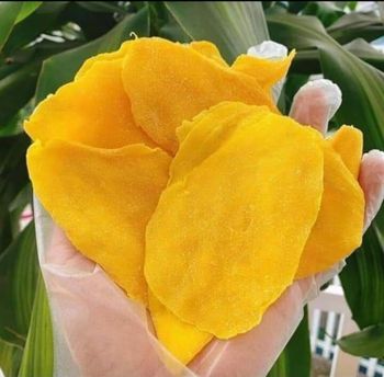 Soft Dried Mango Ready to Eat Healthy Tropical Fruit Snack Private Label Wholesale Manufacturer - Viet D.E.L.T.A Industrial Co.,Ltd - Vietnam