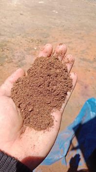 Palm Kernel Expeller - PT. Bella Agro Sejahtera - Indonesia