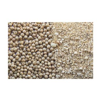 Premium Brazilian Soybeans frozenchickenexports.com - AGROSTREAM EXPORTS AND IMPORTS PTY LTD - South Africa