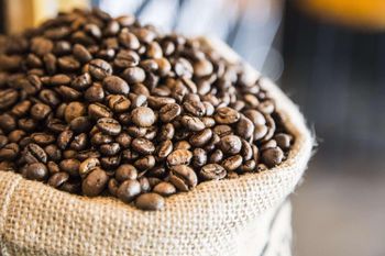 lemkempti grade 4 – product photo, Grade 4 Coffee products found from trusted suppliers, wholesalers, manufacturers & exporters Listing