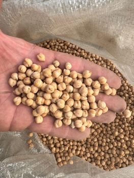Kabuli Chickpeas - NTT - Estonia