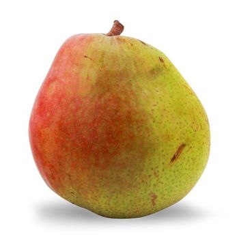 Fresh Pear Carefully Harvested Selection Featuring Crisp Bite Natural Juiciness And Dependable Supply - TOSOH INTERNATIONAL - South Africa