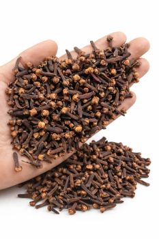 Premium Indonesian Cloves Style Dried Spice Address Indonesia Type Whole Cloves Shape Whole Flower Bud Texture Hard, Dry Buds - PT Sumber Niaga Alam Sejahtera - Indonesia