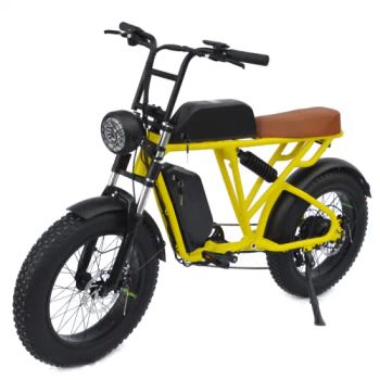 48V 500W Fat Tire Electric Mountain Bike Electric Dirt Bike Ebike - Luohe Viltis Trading Co., Ltd. - China