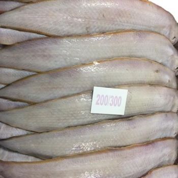INDIAN FISH FROZEN SOLE FISH INDIAN SEAFOOD EXPORT Grade A Content NA Shape Piece Style FROZEN Packaging Box Ingredients - AMAZE SEAFOOD TRADE - India