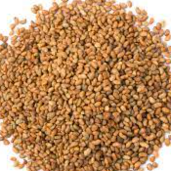 Alfalfa Seed - Lawana and Sons Supplies - South Africa