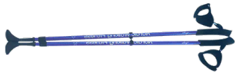 Ski Poles (LY-108-1) Trademark BEST Model NO. LY-108-1 Production Capacity: - Ninghai Leye Tourist Goods Co., Ltd. - China