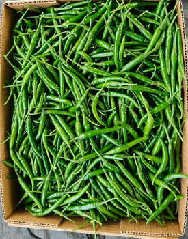 Green Chilli from Dalvi Mercantile Green Chilli - Dalvi Mercantile - India