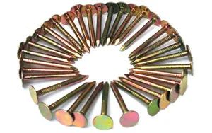 Clout Nail Big Round Head Nail Flap Round Head Nail Clout Nail - QINGDAO ZONGYU INDUSTRY AND TRADE CO., LTD. - China