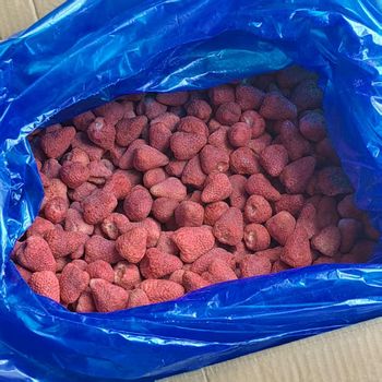 Freeze dried strawberries/freeze dried strawberries slices/freeze dried strawberries diced - Jiangxi Guobao Tegong Foods Co., Ltd. - China