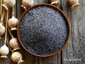 Blue / White Poppy Seeds dried poppy heads Grade A Type poppy seeds Processing Type - Rokko Deco GmbH    - Germany