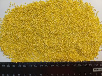 Hulled millet organic or conventional from GRUNWEG, LLC Hulled millet organic or conventional - GRUNWEG, LLC - Ukraine