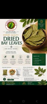 Dried bay leave - PT. Barokah Natural Supply Indonesia - Indonesia