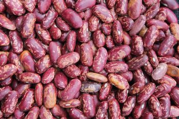 Ethiopian Red Speckled Kidney Beans - abissiniya plc - Ethiopia