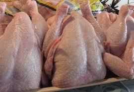 IQF Halal Raw Whole Chickens (Griller/Tandoori) Grade A Packaging Upon buyers - FIN ALAMAK  - Russian Federation
