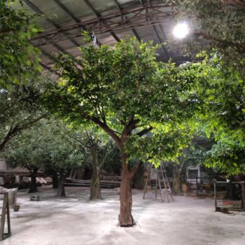 10FT Artificial Trees for Indoor Decorative Suitable for Public Producing Time 7-15 Days Shipping by Express/by Air/by Sea/by Train - Shenzhen Shangpin Flower Art Design Co., Ltd. - China