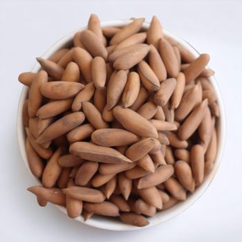 Natural Pine Nuts for International Trade from Mutlu Et Mustafa Natural Pine Nuts for International Trade - Mutlu Et Mustafa - France