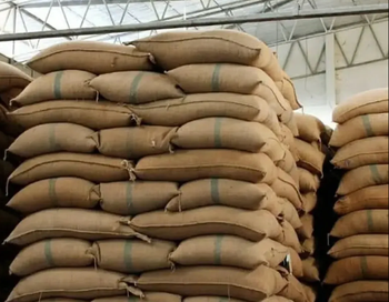 SC 18 Premium Green Robusta Coffee Beans Washed Bold Taste 60kg Jute Bags Columbian Coffee from Sosa Merchant Solutions SC 18 Premium Green Robusta Coffee Beans Washed Bold Taste 60kg Jute Bags Columbian Coffee - Sosa Merchant Solutions - Austria