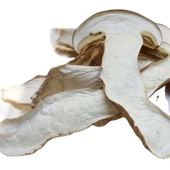 wholesale price Dried porcini mushroom dried boletus edulis Style Dried Type Boletus Weight (kg) 10 Ingredients no Drying Process - Shanghai Dashanhe Edible Technology Co., Ltd. - China