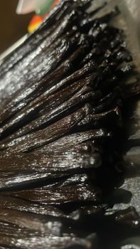 Vanilla Bean – product photo, Vanilla products found from trusted suppliers, wholesalers, manufacturers & exporters Listing