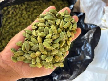 Cardamom (5mm , 6mm , 7mm , 8mm, 9mm) from Shumitra Cardamom (5mm , 6mm , 7mm , 8mm, 9mm) - Shumitra - India