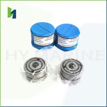 Hot Sale Yanmar M200L-Sn Marine Aux Engine Spare Parts Delivery Valve Comp 141616-51300 Diesel Marine Supplies - Qinhuangdao Hy Marine Machinery Equipment Co., Ltd - China