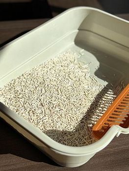Tofu Cat Litter for Private Label Brands | Consistent Quality | OEM/ODM | Free Sample - QINGDAO WOBIAN PET PRODUCT CO.,LTD - China