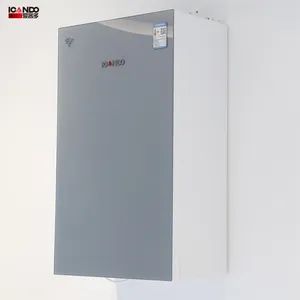 Urban Living Space Efficient Design V6 Wall Mounted Boiler - Shandong Aikeduo Heat Energy Technology Co., Ltd. - China