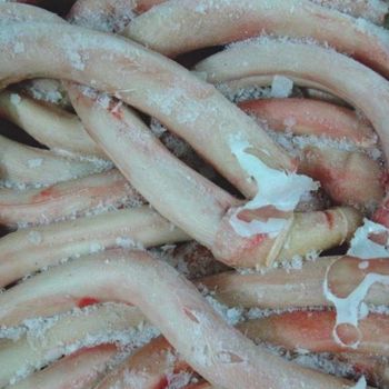 Wholesale Bulk Halal Frozen Beef Pizzle Supplier from Mutlu Et Mustafa Wholesale Bulk Halal Frozen Beef Pizzle Supplier - Mutlu Et Mustafa - France
