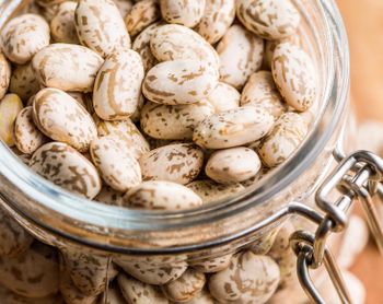Organic Pinto Beans - Njang Investments Limited - Kenya