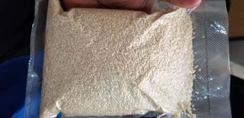 Natural Sesame Seeds - GIFEX AGRO TANANZIA LIMITED - Tanzania
