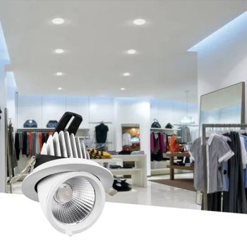 LED Down Light Indoor LED Recessed Ceiling Spot Light Panel Down Light - Jiangmen Synno Lighting Co., Ltd. - China