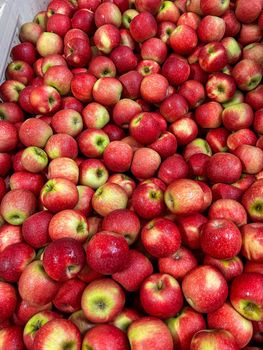 Fresh Joya Apples for sale class 1 export quality - NINE FRUITS EXPORTS (PTY) LTD - South Africa