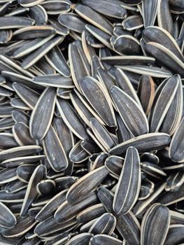 Sunflower Seed Features Fair Trade, No Artificial Flavors, No Preservatives, Organic - Uzair and Company - Pakistan