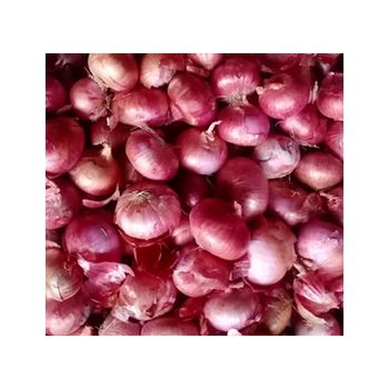 Best Quality Fresh Organic Nutritional And Natural Fresh Red Onion At Wholesale Buy Now at Low Price - ZENITH WORLD - India