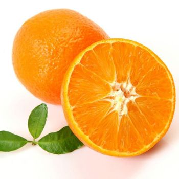 Fresh Citrus Beni Madan Ehime  Jelly Orang From Sichuan China - Power Link Fruit Farm Co Ltd - China