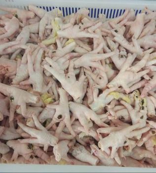 Top Grade AA Frozen Chicken Feet & Paws (Halal) Packaging box Fat Content low Grade top grade A Max. Moisture (%) 3 Shelf Life 24 months - MT Trading GmbH - Germany