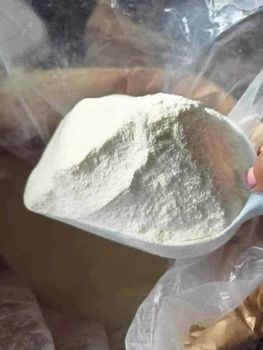 Instant Full Cream Milk bulk supply wholesale export quality product - BMU TRADING GMBH - Germany