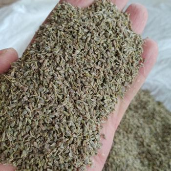 Anise Delivery Form Bag Form Ground, Whole Freshness Level Dried Features Fair Trade, Gluten-Free, Halal, Kosher, No Preservatives, Without Additives, Without Colourants, Without Flavor Enhancers - Elmotmiz Herbs - Egypt