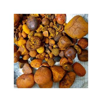 Premium Natural Cow Gallstones High-Quality & Hand-Picked Feed Feed Corn, Fish Meal, Fodder Beets - Medcompex Gmbh - United Kingdom
