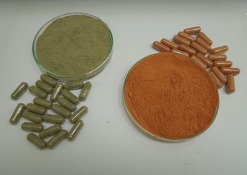 Propolis Dry Extract (in powder) Red or Green Propolis, from Alcoholic or water fraction - ApisTech Produtos da Natureza LTDA - Brazil