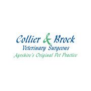 Product – product photo, Live Pet Fish products found from trusted suppliers, wholesalers, manufacturers & exporters Listing