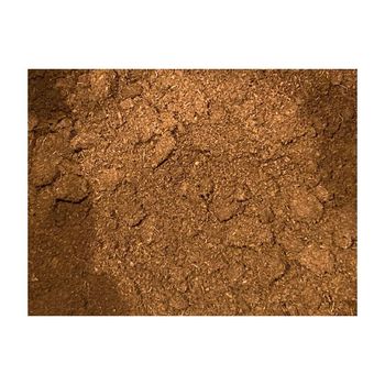 Affordable peat moss bulk supply ideal for home gardening and nurseries Peat moss wholesale supply from Koto Global Trade SPRL Affordable peat moss bulk supply ideal for home gardening and nurseries Peat moss wholesale supply - Koto Global Trade SPRL - Belgium