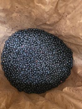 Frozen Wild Blueberries – Grade A, Cleaned (Scandinavian Origin) from SIA Mushrooms Latvia Frozen Wild Blueberries – Grade A, Cleaned (Scandinavian Origin) - SIA Mushrooms Latvia - Latvia