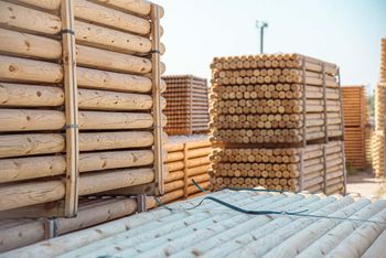 wood logs from pine Wood Species Pine Transport Means Trucks and Cars Transport Destination Worldwide Impregnation Cost 45 Euro Per M3 - ЗАПАДНЫЙЛЕС - Belarus