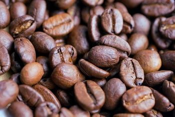 Ceylon Coffee – product photo, Instant Coffee Drink products found from trusted suppliers, wholesalers, manufacturers & exporters Listing