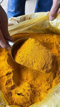 TURMERIC SLICE, TRUMERIC POWDER FEED, CLOVE, CLOVE POWDER, CINNAMOM, CARDAMOM, METMEG - PT. HECHEN JAYA ABADI - Indonesia