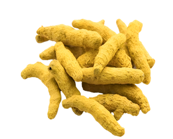Fresh Turmeric Fingers (Curcuma Longa) – Indian Origin, Export Grade, Natural & Unpolished from ECO DINE MANUFACTURING SOLUTIONS OPC PVT LTD Fresh Turmeric Fingers (Curcuma Longa) – Indian Origin, Export Grade, Natural & Unpolished - ECO DINE MANUFACTURING SOLUTIONS OPC PVT LTD - India